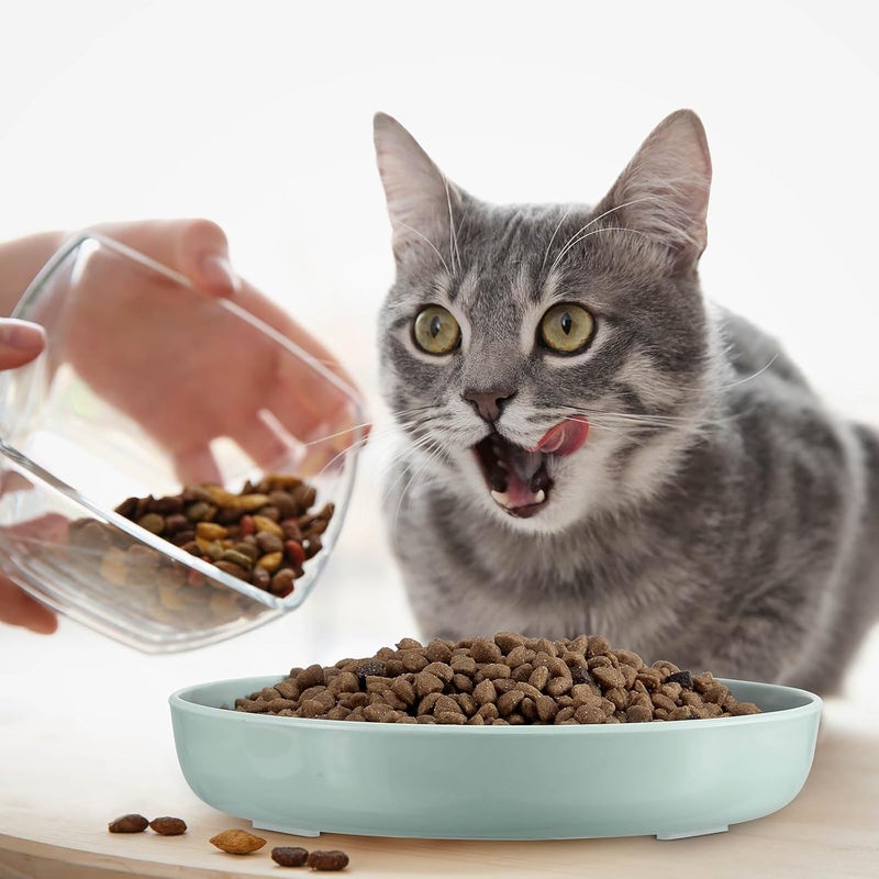 Nitial 2 Pcs Cat Slow Feeder Bowl Fish Pool Design Feeder Dish Fun Interactive Cat Food Bowl Healthy Eating Diet Bowls for Pet Puppy Dogs Dishwasher Safe(Green, Pink) - Image 4
